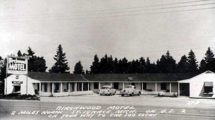 Birchwood Motel - Vintage Postcard